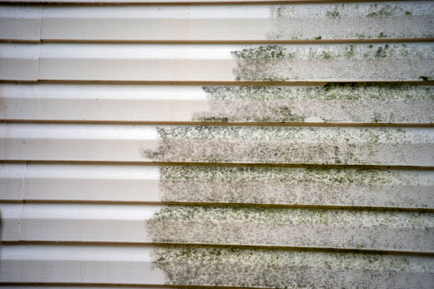 Best Residential Vinyl Siding Installation  in Lindon, UT