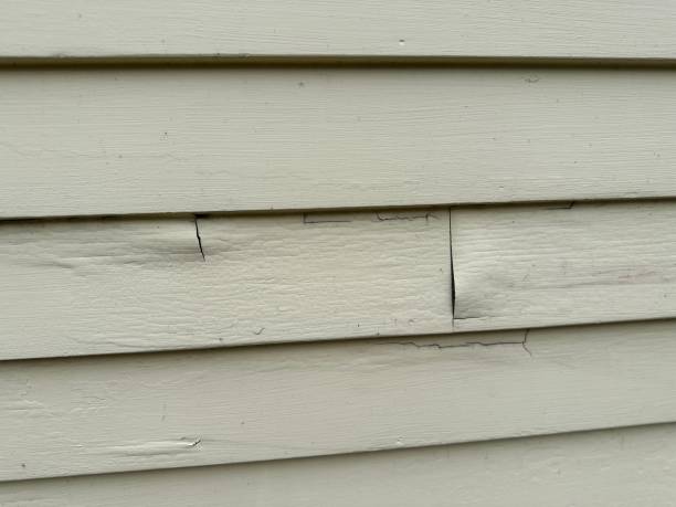 Best James Hardie Siding  in Lindon, UT